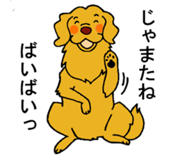 Gorgeous Golden Retriever 'MARIA' sticker #2636730