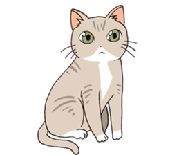 Oyabun&Torakichi sticker #2638260