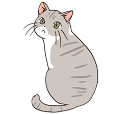 Oyabun&Torakichi sticker #2638263