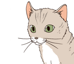 Oyabun&Torakichi sticker #2638269