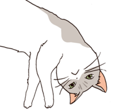 Oyabun&Torakichi sticker #2638274