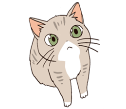 Oyabun&Torakichi sticker #2638290