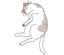 Oyabun&Torakichi sticker #2638294