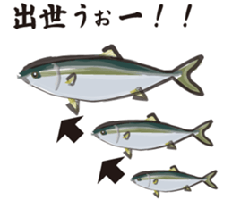Cultured yellowtail sticker #2638299
