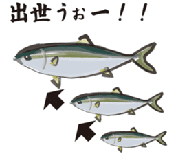 Cultured yellowtail sticker #2638299
