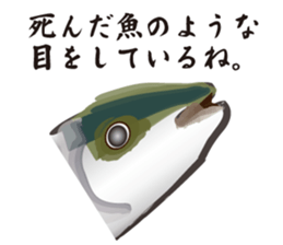 Cultured yellowtail sticker #2638300