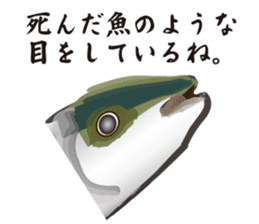 Cultured yellowtail sticker #2638300