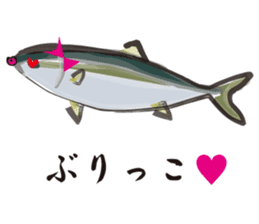 Cultured yellowtail sticker #2638305