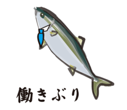 Cultured yellowtail sticker #2638306