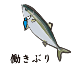 Cultured yellowtail sticker #2638306