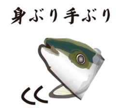 Cultured yellowtail sticker #2638310