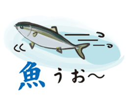 Cultured yellowtail sticker #2638314