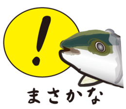 Cultured yellowtail sticker #2638316