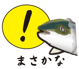 Cultured yellowtail sticker #2638316