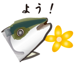 Cultured yellowtail sticker #2638317
