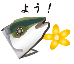 Cultured yellowtail sticker #2638317