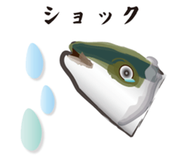 Cultured yellowtail sticker #2638318