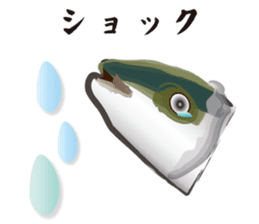 Cultured yellowtail sticker #2638318