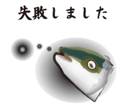 Cultured yellowtail sticker #2638319