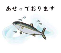 Cultured yellowtail sticker #2638322