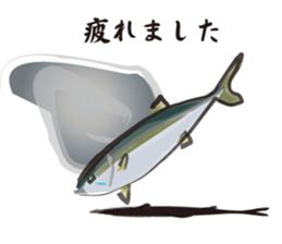 Cultured yellowtail sticker #2638323