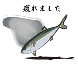 Cultured yellowtail sticker #2638323