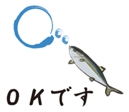 Cultured yellowtail sticker #2638324