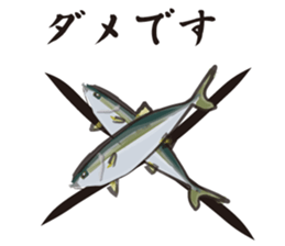 Cultured yellowtail sticker #2638325