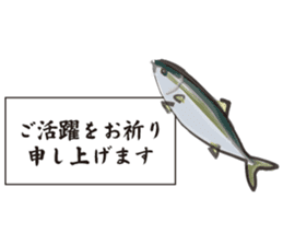 Cultured yellowtail sticker #2638327