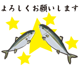 Cultured yellowtail sticker #2638332
