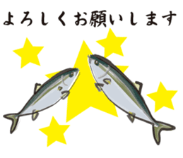 Cultured yellowtail sticker #2638332