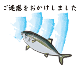 Cultured yellowtail sticker #2638336