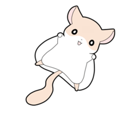 flying squirrel sticker sticker #2641322