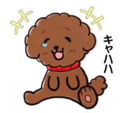 toypoodle afro dog sticker #2642678