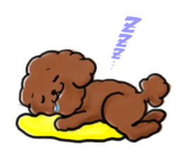 toypoodle afro dog sticker #2642685