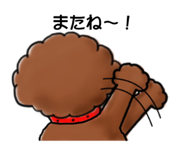 toypoodle afro dog sticker #2642688