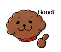 toypoodle afro dog sticker #2642696