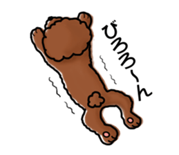 toypoodle afro dog sticker #2642706