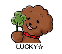 toypoodle afro dog sticker #2642710