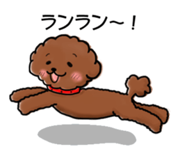 toypoodle afro dog sticker #2642713
