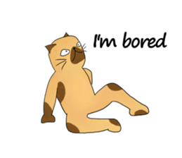 Cynical Cat sticker #2643953