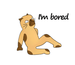 Cynical Cat sticker #2643953