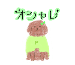 messy poodle pooko sticker #2644815