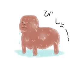 messy poodle pooko sticker #2644819