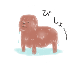 messy poodle pooko sticker #2644819