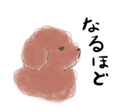 messy poodle pooko sticker #2644828
