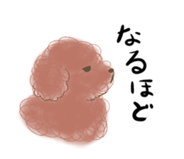 messy poodle pooko sticker #2644828