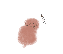 messy poodle pooko sticker #2644830