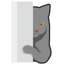 ALL CATS sticker #2645256