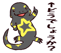 A newt and salamander sticker #2645660